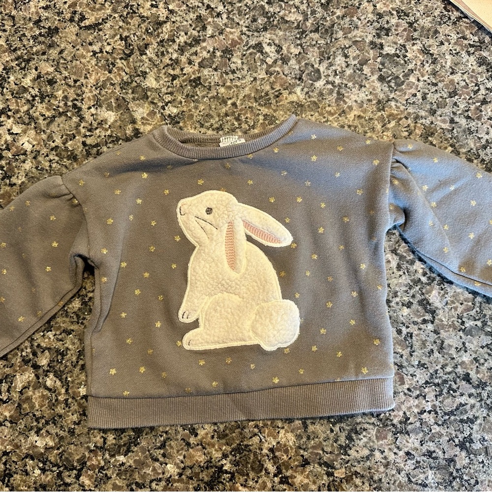 Carter's Gray Sweatshirt with Bunny Design